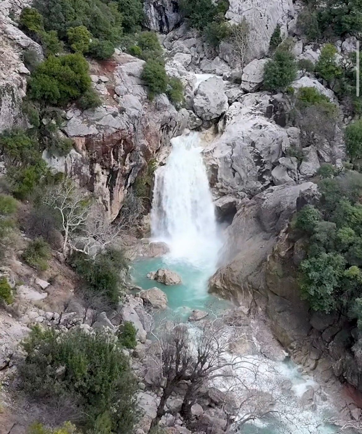 Whatsapp Image 2026 03 24 At 11.25.00 (1)