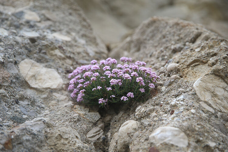 007 2025 07 Haziran 21 Haziran 09 20250613 2 69482713 114067143