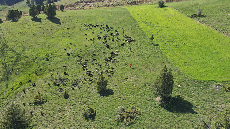 007 2025 07 Haziran 21 Haziran 09 20250613 2 69482861 114067496