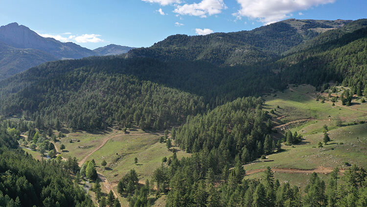 007 2025 07 Haziran 21 Haziran 09 20250613 2 69482861 114067499