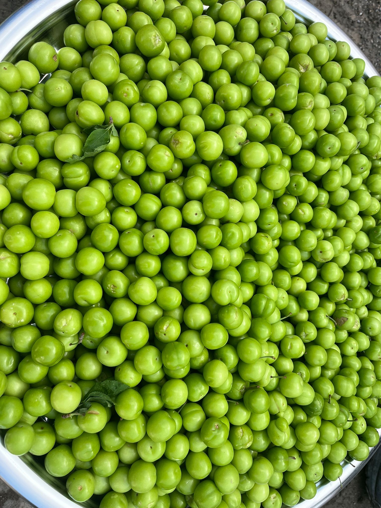 Kahramanmaraş’ta Yeşil Erikte Fiyat Geriledi