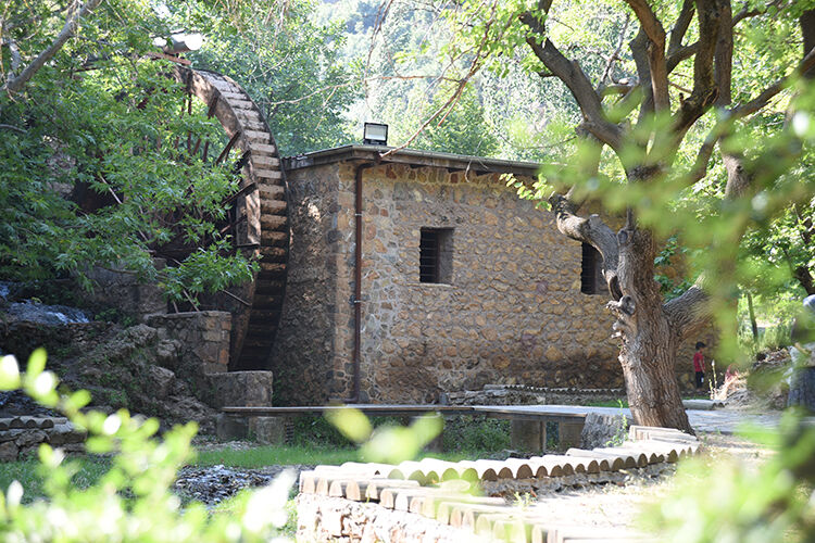 2021 M A Y I S 16 Munzur 20210516 2 48305273 65206835