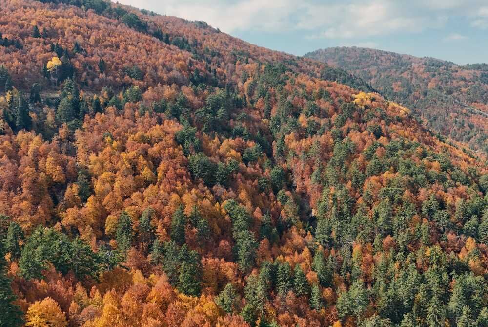 20260212155709516 Geben Milli Parki 4