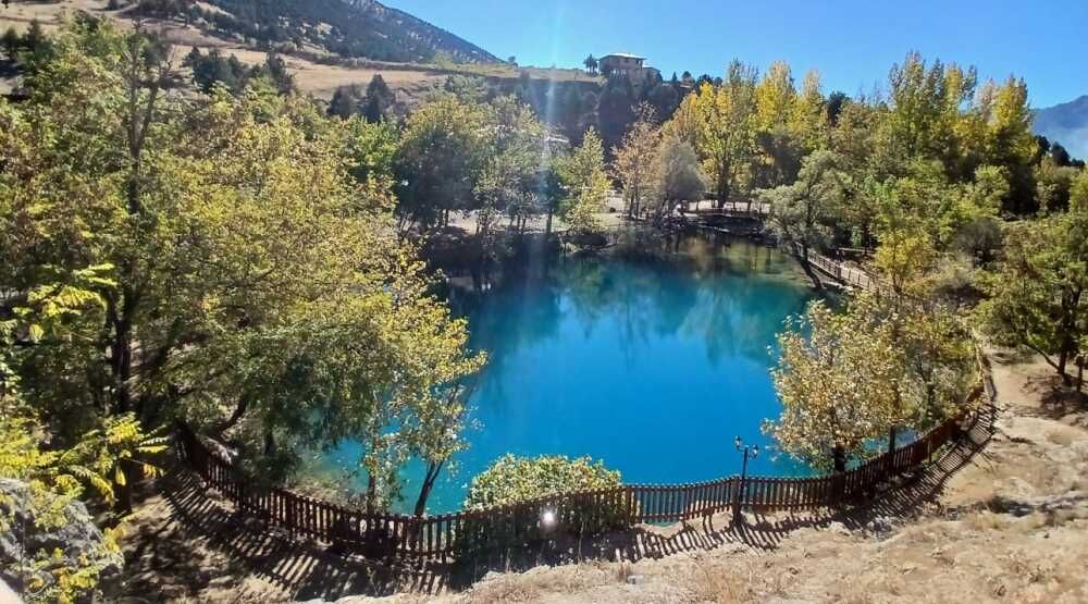 20260223100015585 Yesilgoz