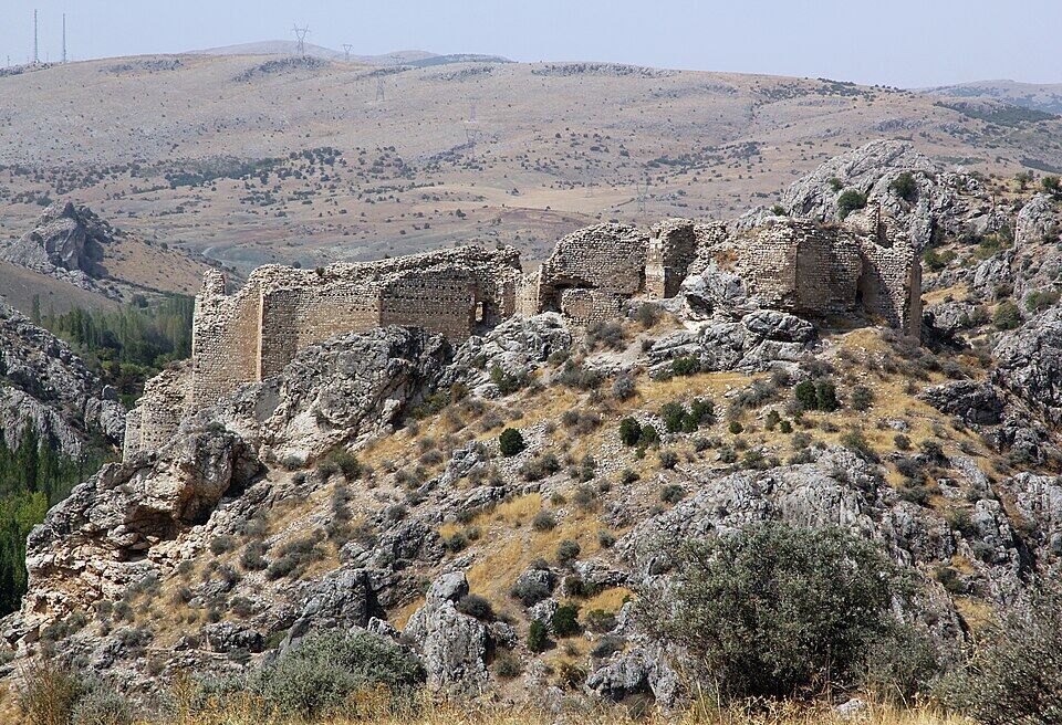 3E3308801C5Adf0114966E3A483100A1Accb7Fbe-1