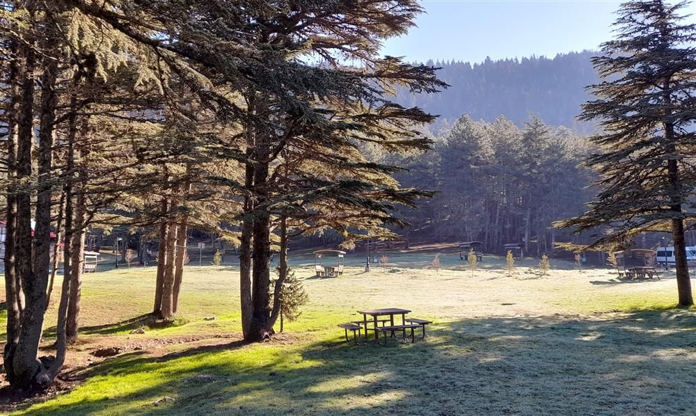 471816,Baskonus Yaylasi 54Jpg