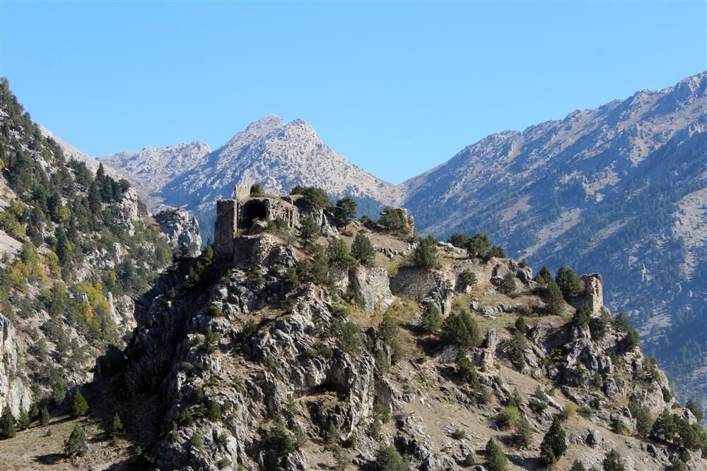 492893,Geben Milli Parki 2Jpg-1