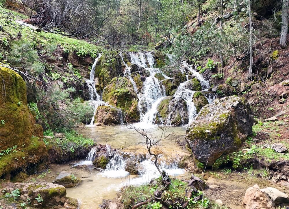 492894,Geben Milli Parki 3Jpg