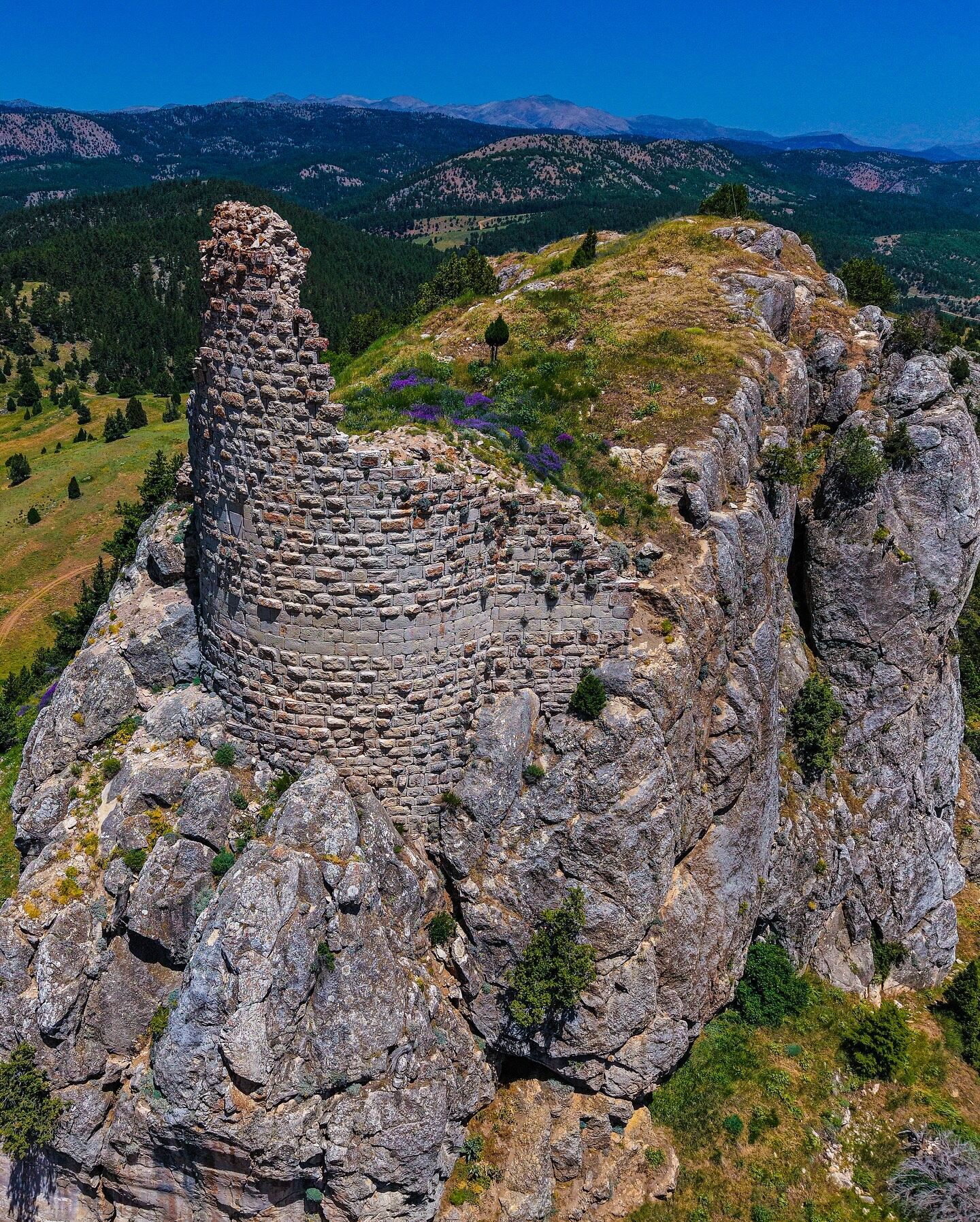 509137520 17989185212817431 2280950793037125296 N-1