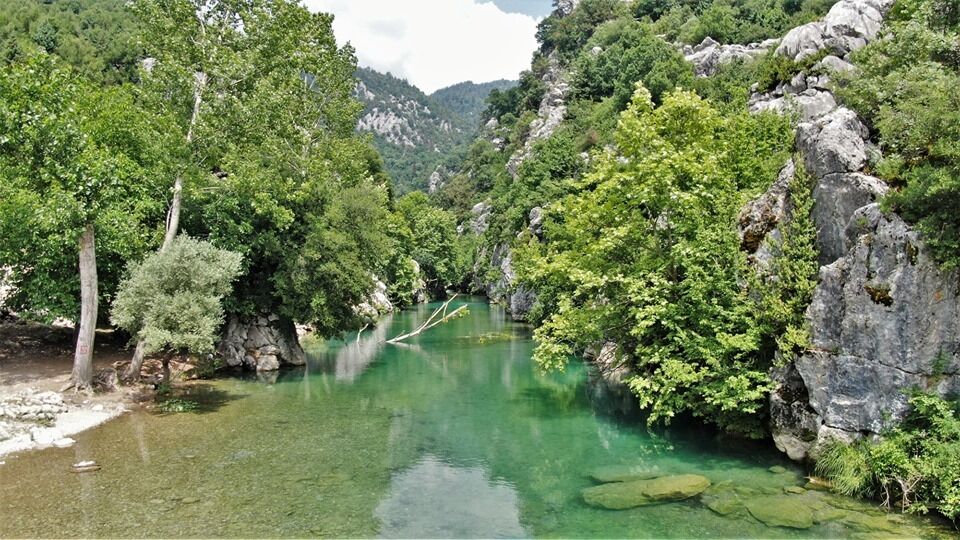 65238841 1359967567484453 7458857767801978880 N