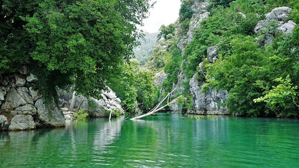 65309563 1359967550817788 5432236599750426624 N