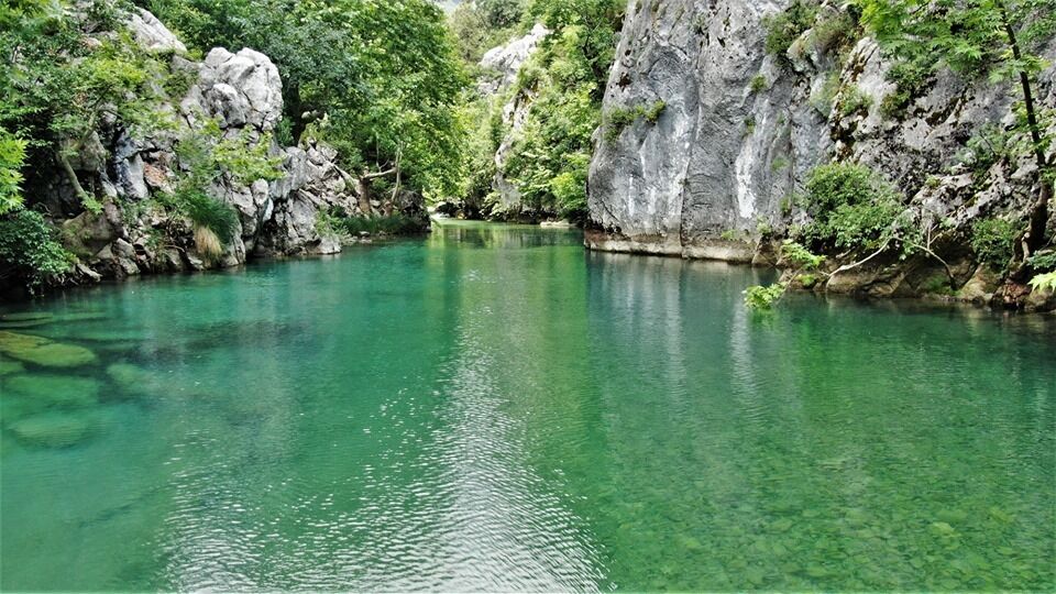 65310983 1359967837484426 988784793904742400 N (1)