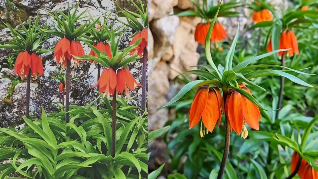 Adsız Tasarım (4)-82