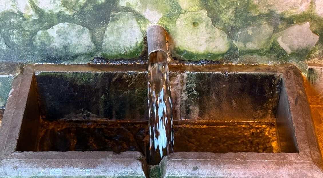 Ekran Görüntüsü 2026 04 07 160244