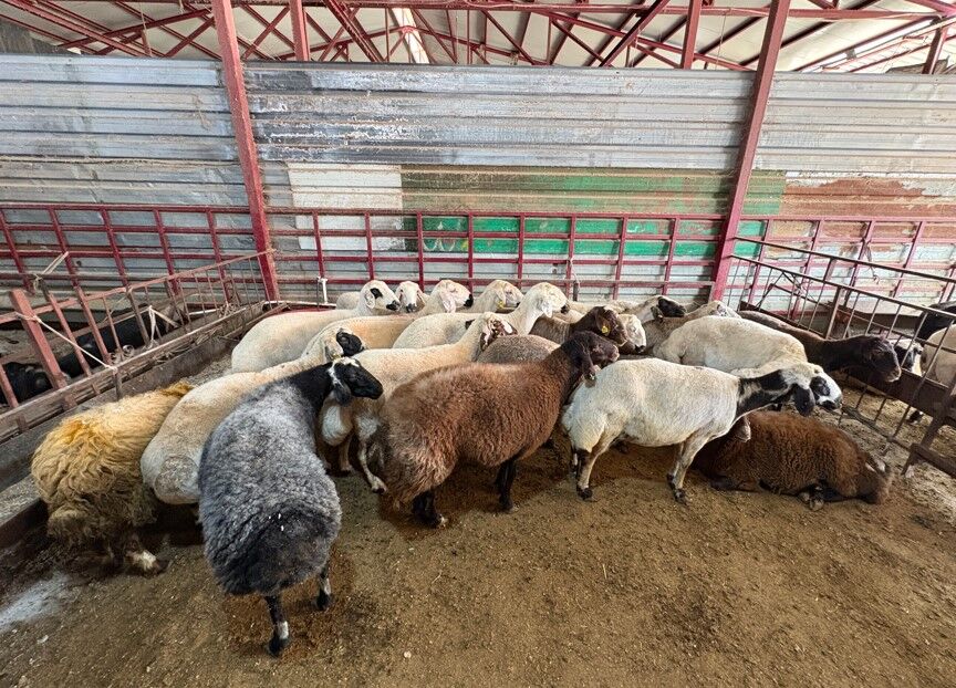 Ekran Görüntüsü 2026 04 28 095003