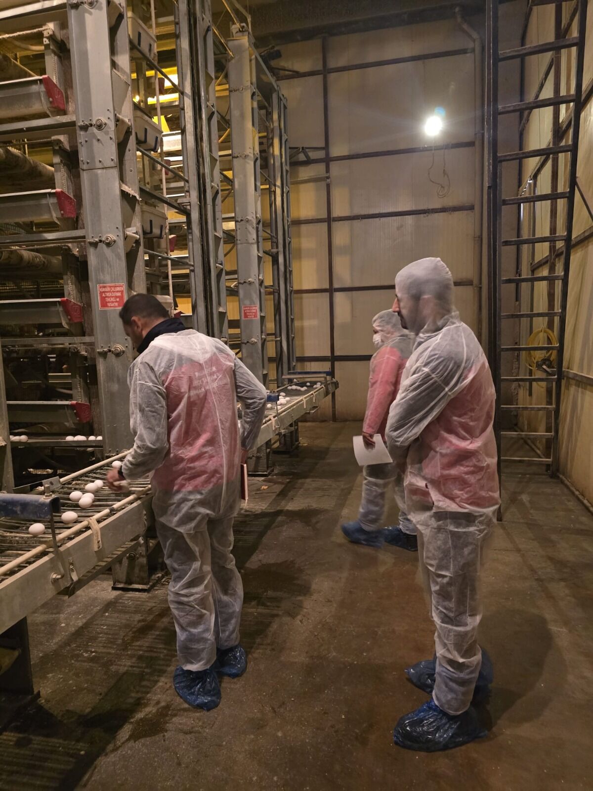 H E49 Qw P W0 A A3Ojp