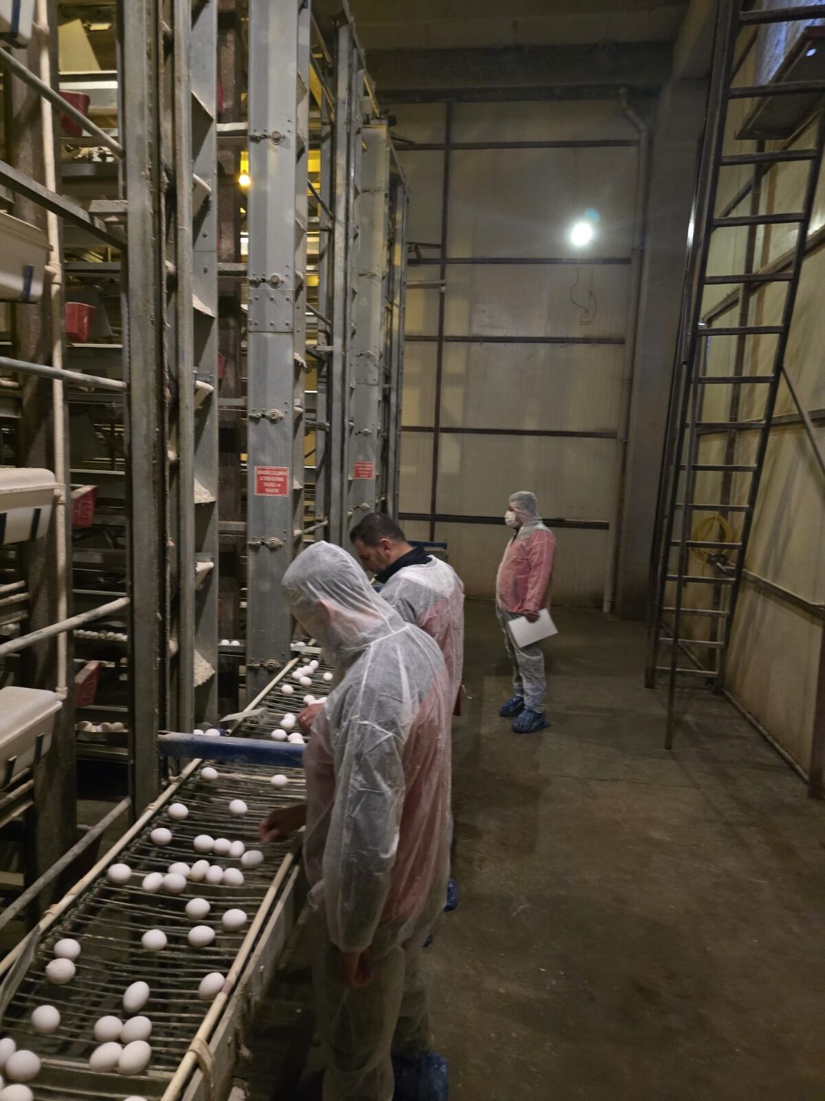 H E49 Qw Y W A A A I J B D