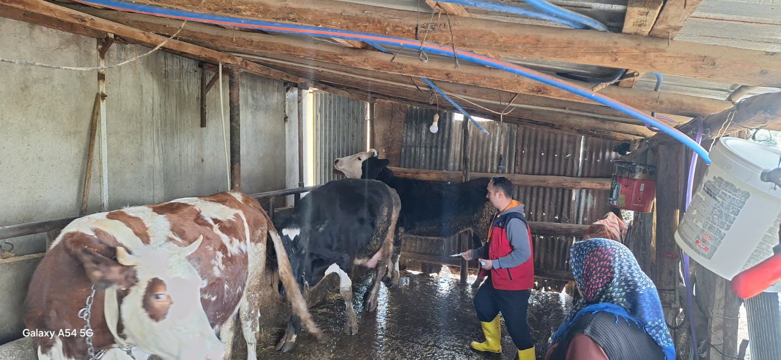 H F U A Aa1Ac A E T Dw2