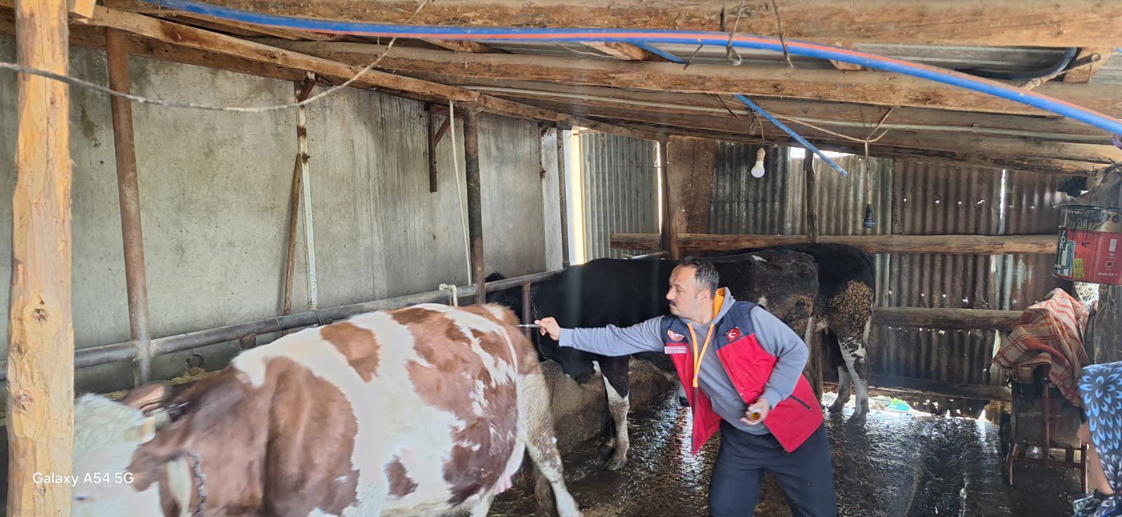 H F U A Aaaa8 A A Dwl S