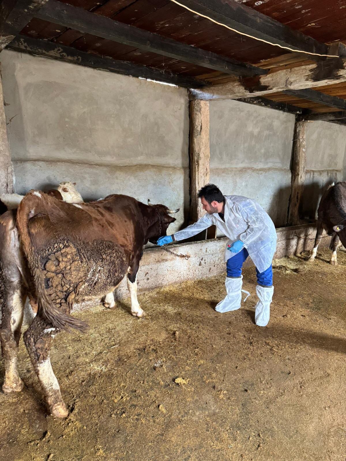 H F U A Aarb M A A8Sfq