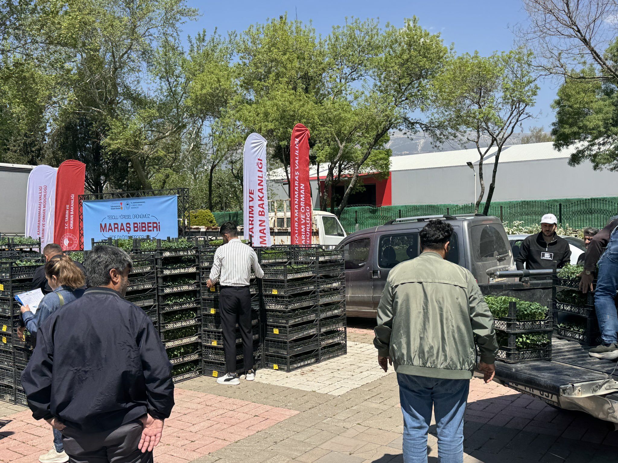 H Ga61R8 Ws A E Wqu H