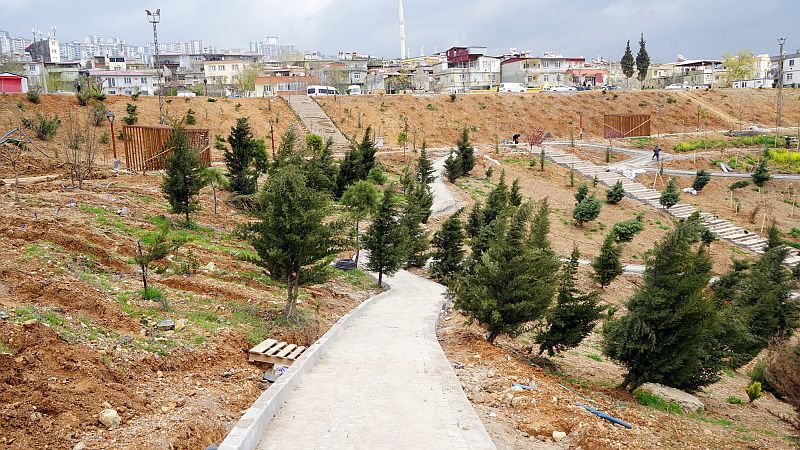 Karbon Yutak Alanı (2)