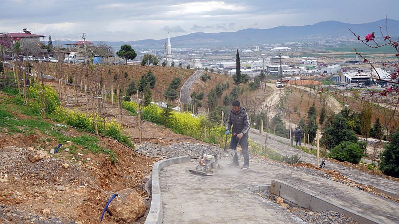 Karbon Yutak Alanı (3)