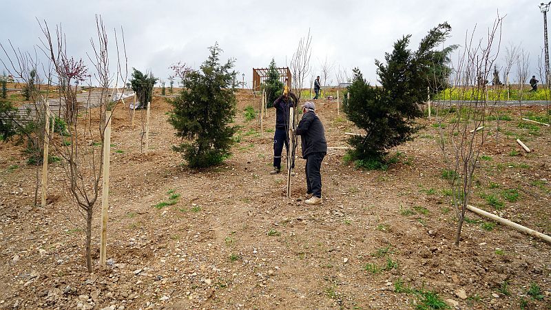 Karbon Yutak Alanı (4)