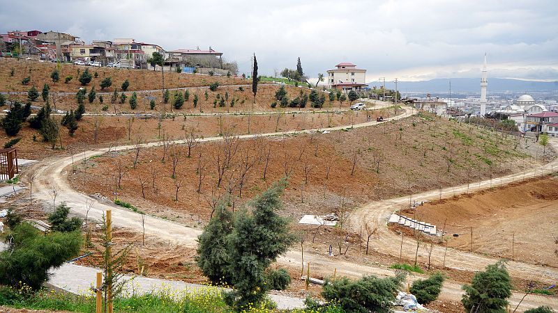 Karbon Yutak Alanı (5)