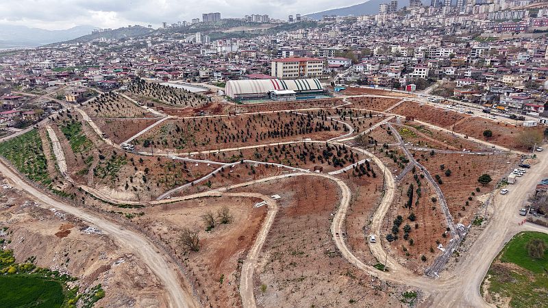 Karbon Yutak Alanı (6)