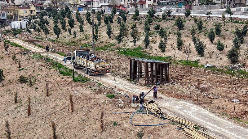 Karbon Yutak Alanı (7)