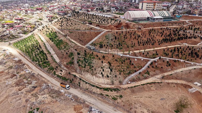 Karbon Yutak Alanı (8)