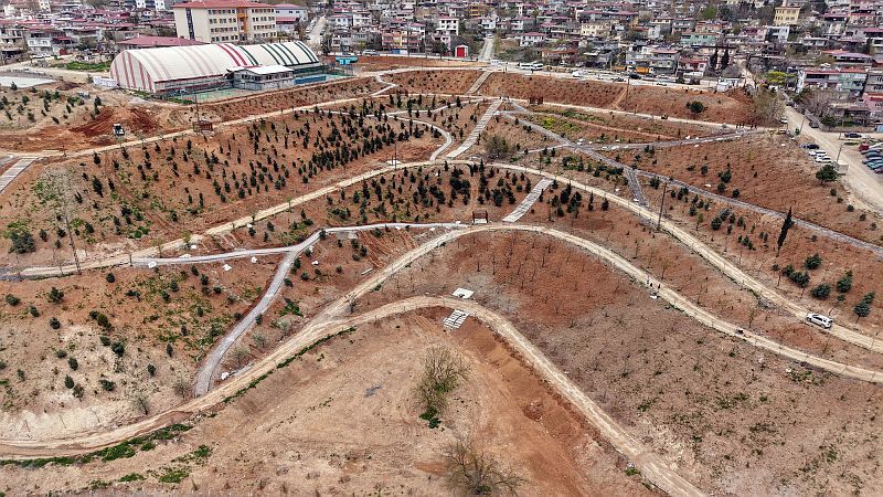 Karbon Yutak Alanı (9)