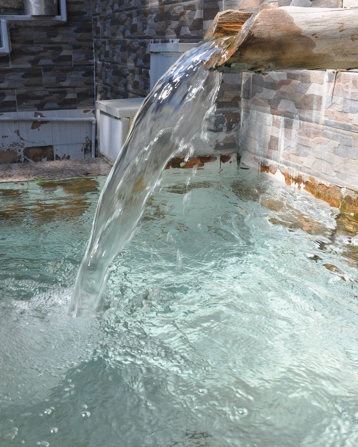 Kulturturizm46 1749032373 3647470375939603867 11049137838