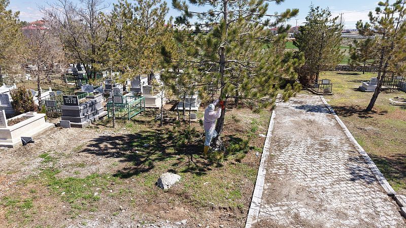 Kuzey İlçeler Bakım (3)