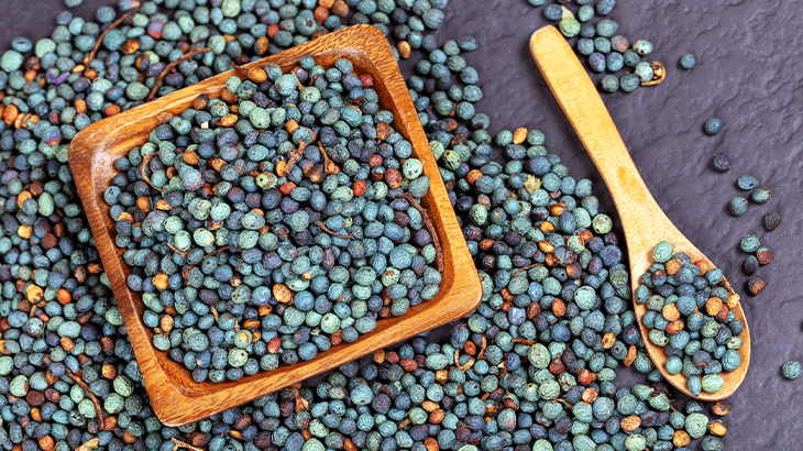 Menengic Nedir Menengic Faydalari Nelerdir 388446 1 (2)