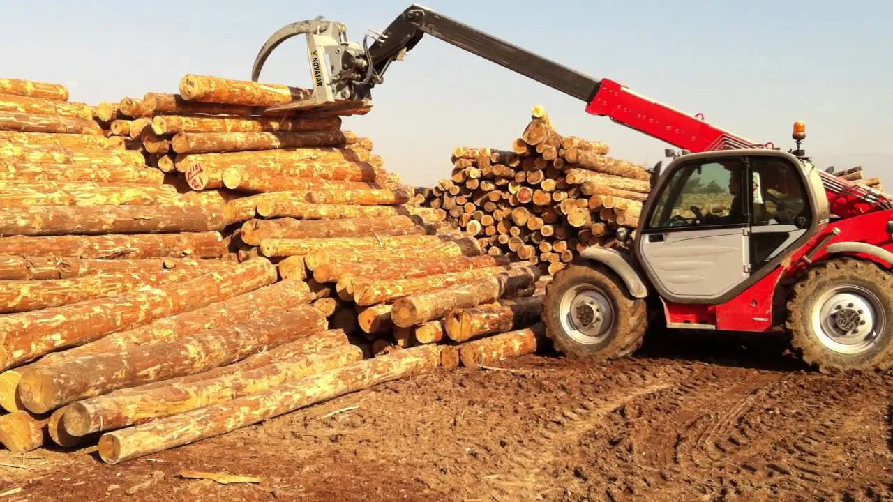 ORMAN ÜRÜNLERİ KESME TOMRUKLAMA, SÜRÜTME, YÜKLEME VE TAŞIMA HİZMETİ ALINACAKTIR