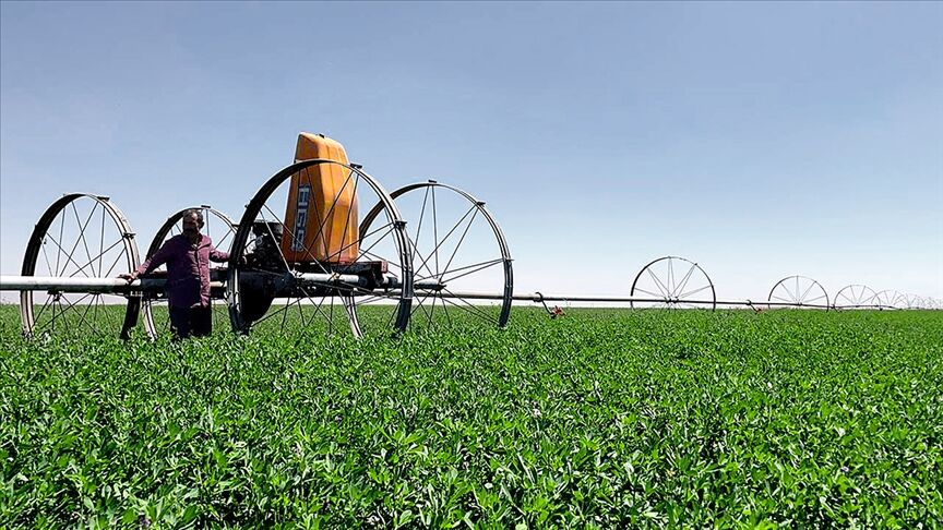 Thumbs B C 6B14B10E043Adbcc0C927Bfaee6A17C9