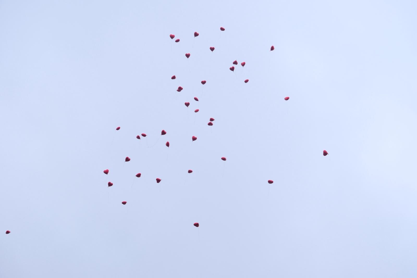 Whatsapp Image 2026 04 02 At 11.41.11