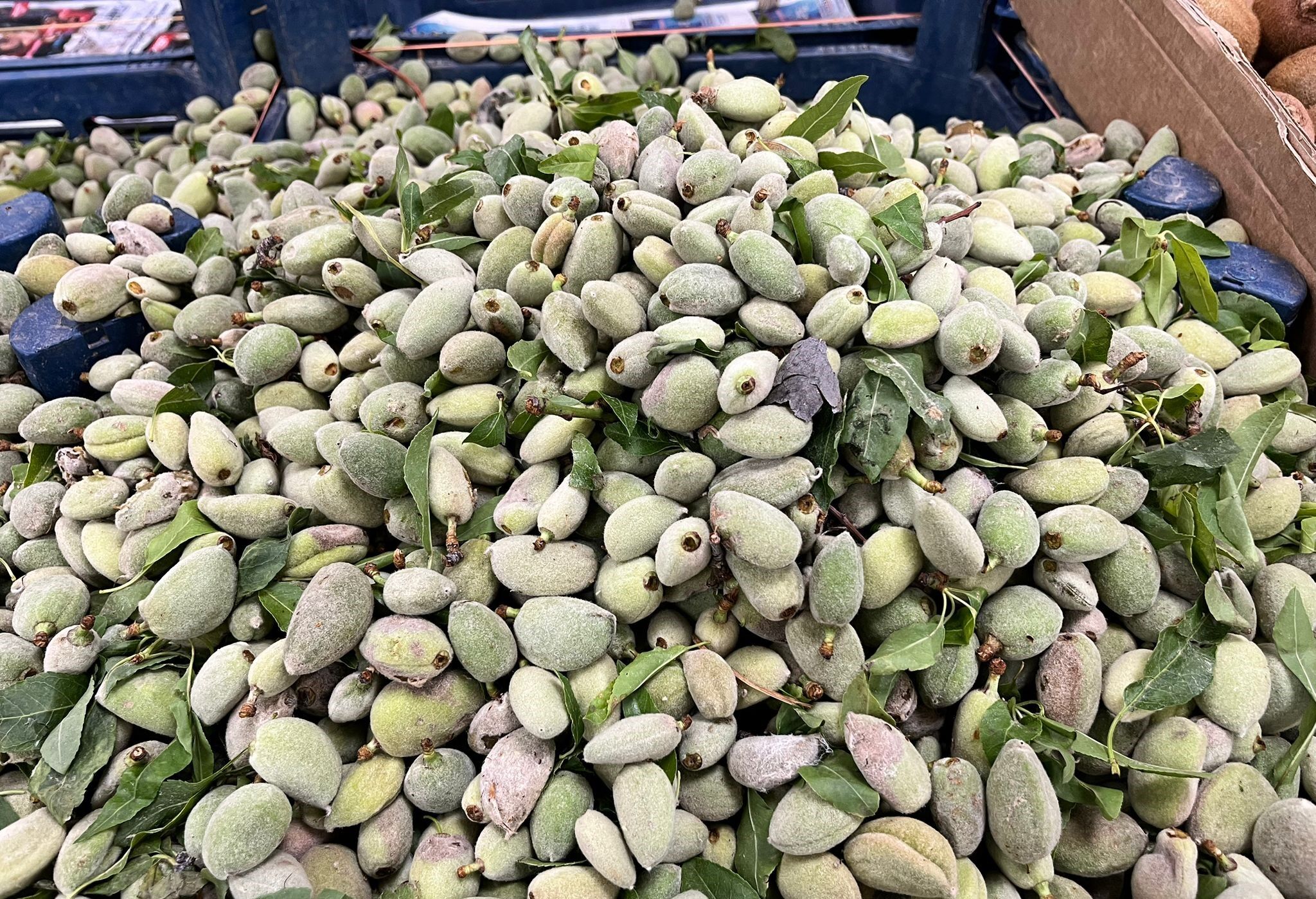 Whatsapp Image 2026 04 03 At 10.10.47