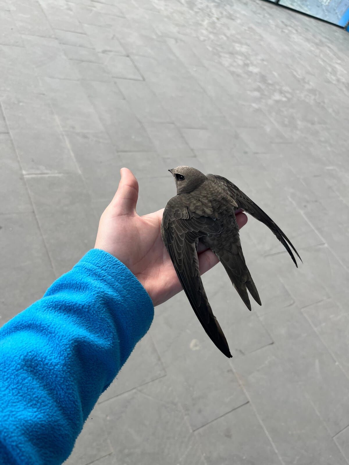 Whatsapp Image 2026 04 06 At 11.13.52