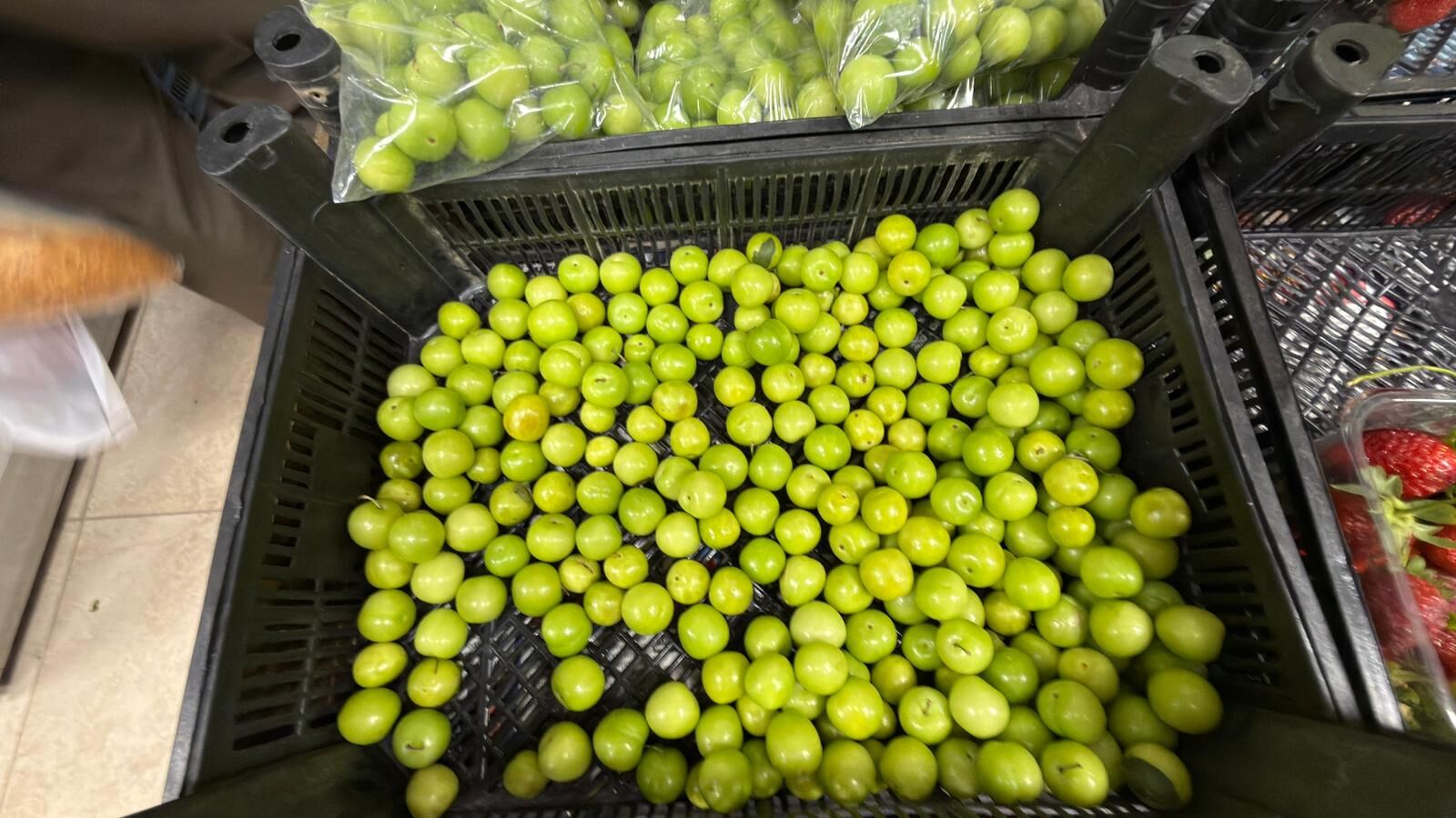 Whatsapp Image 2026 04 09 At 18.14.45