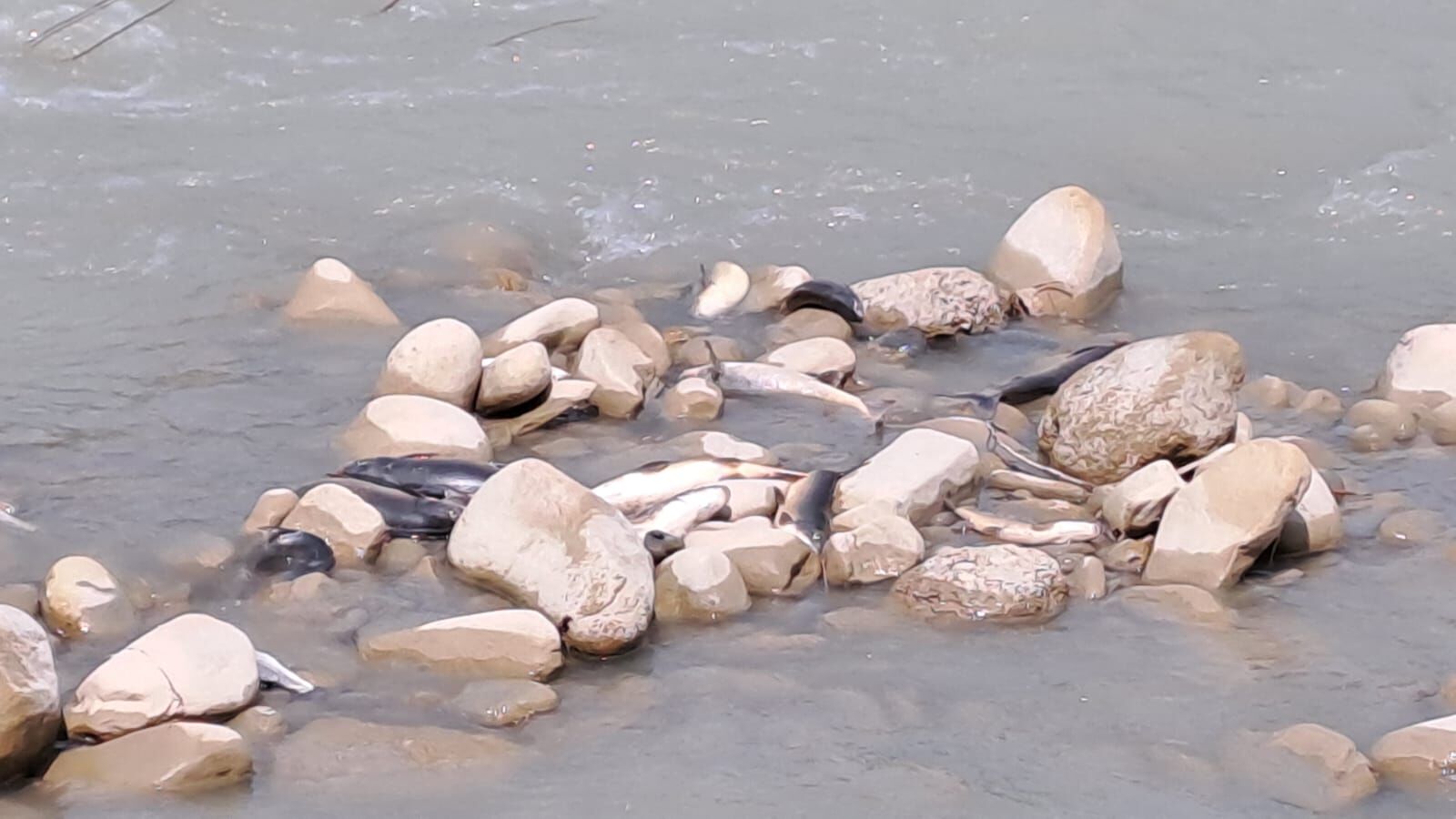 Whatsapp Image 2026 04 18 At 14.27.45