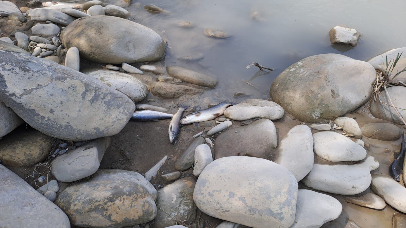 Whatsapp Image 2026 04 18 At 14.28.38