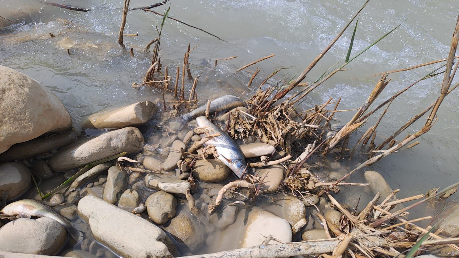 Whatsapp Image 2026 04 18 At 14.28.39