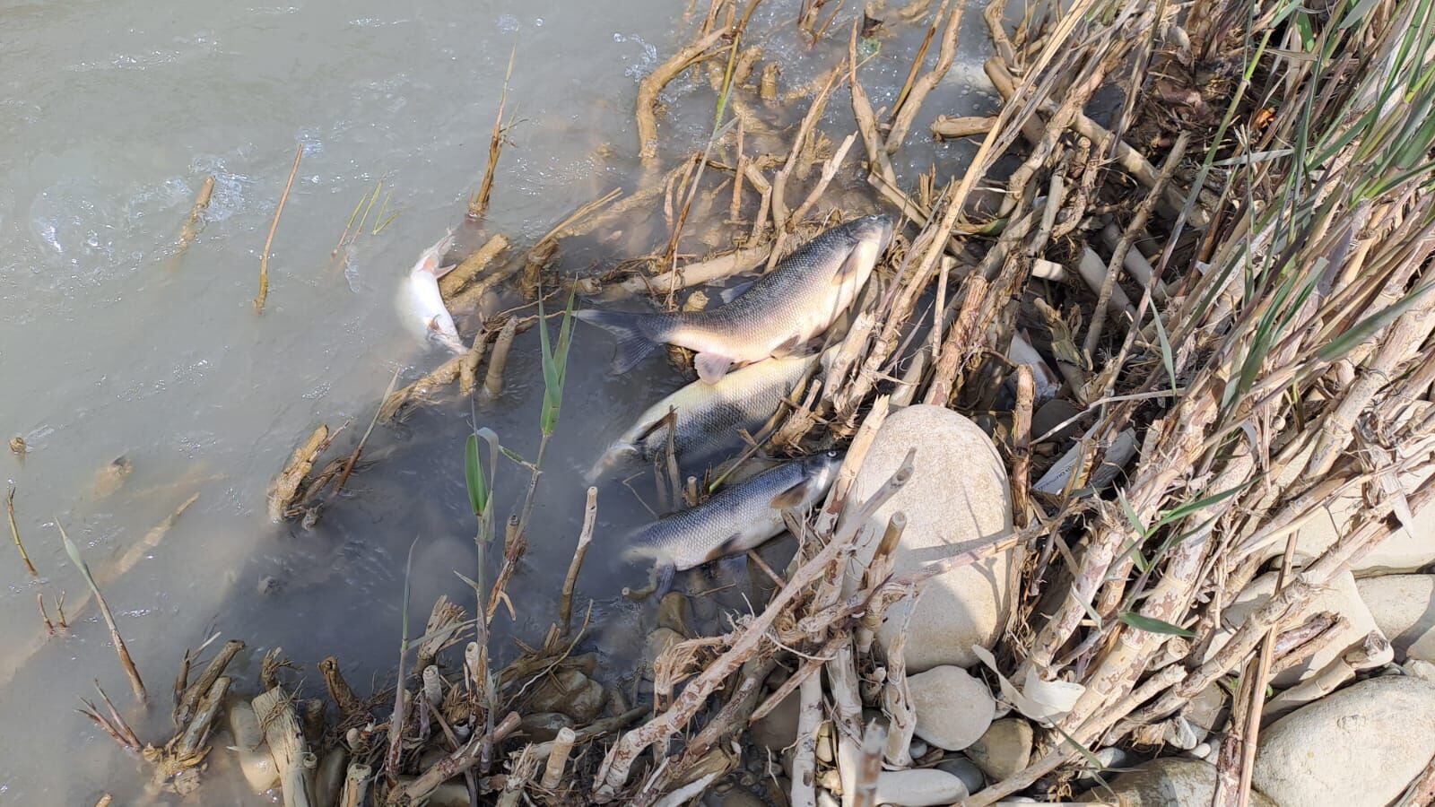 Whatsapp Image 2026 04 18 At 14.28.40