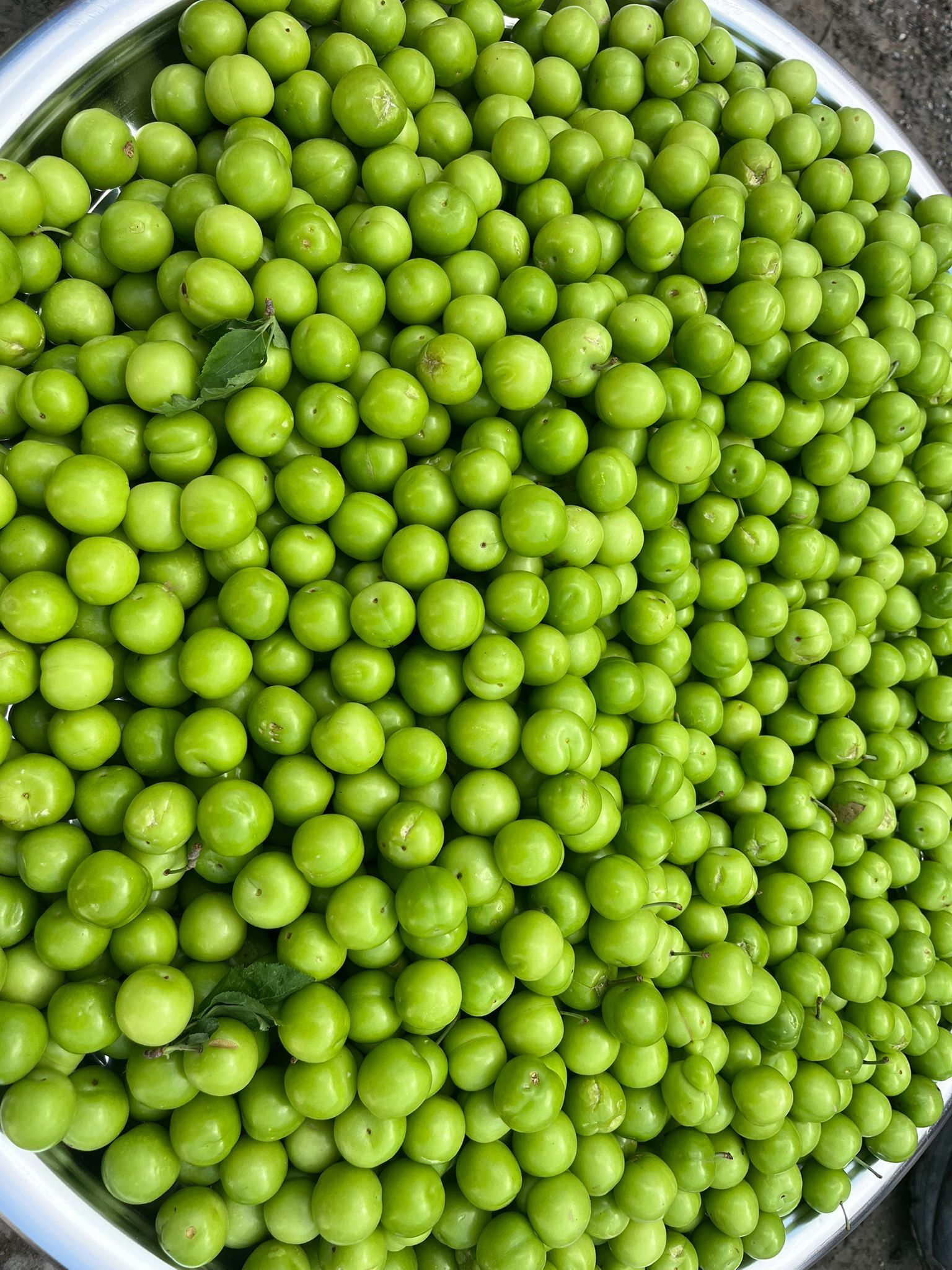 Whatsapp Image 2026 04 20 At 11.49.02