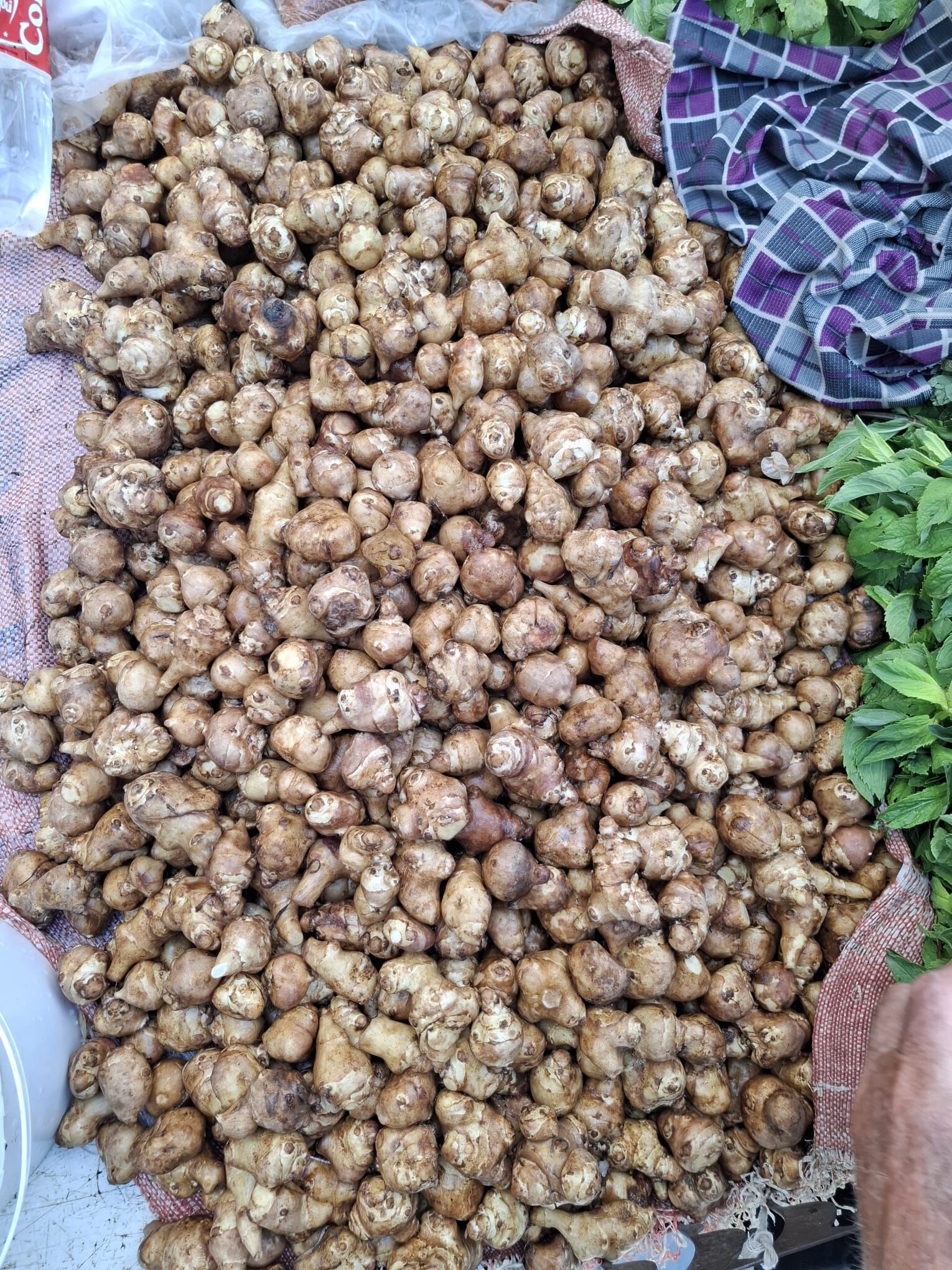 Whatsapp Image 2026 04 27 At 14.39.07 (1)