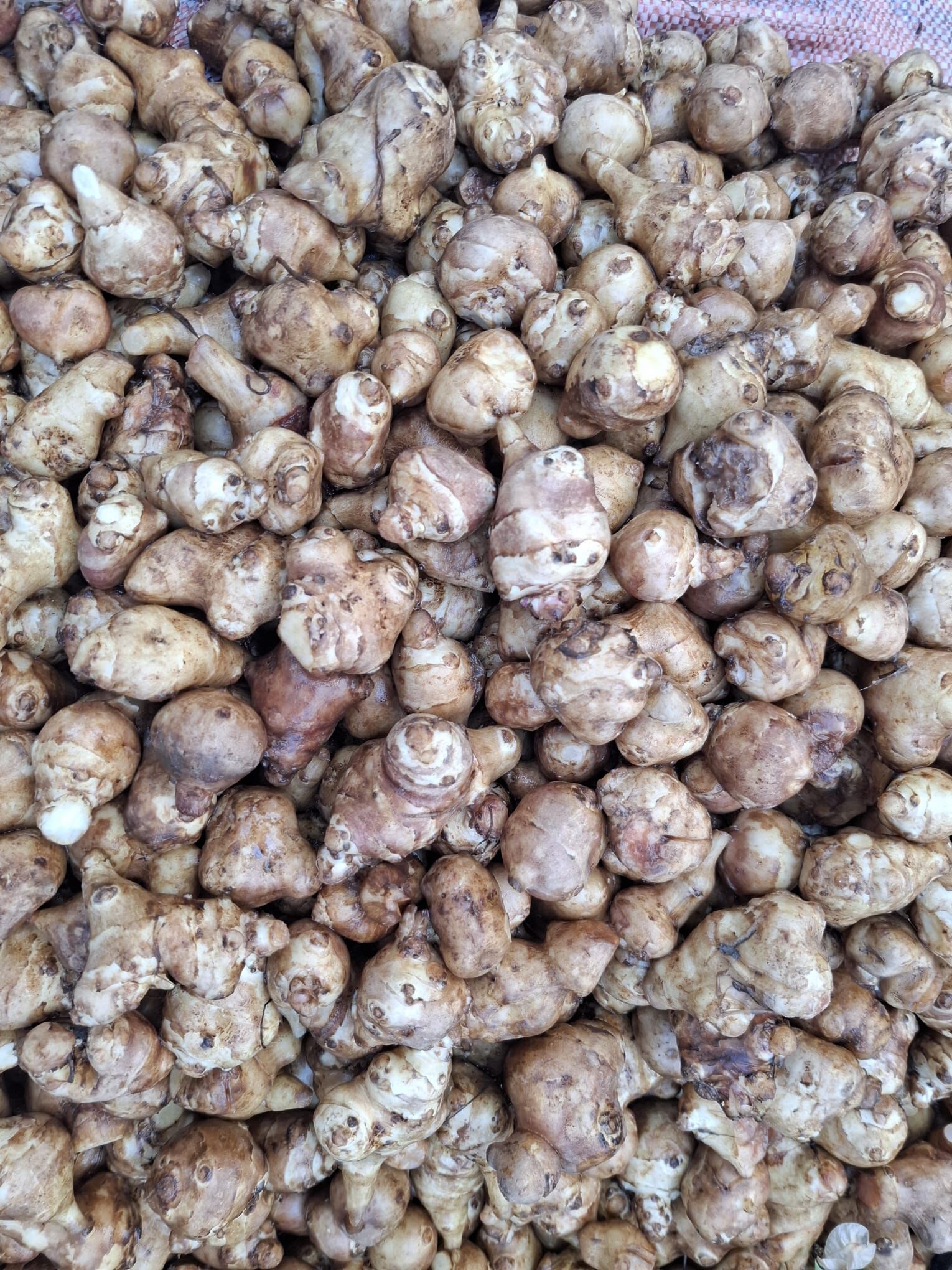 Whatsapp Image 2026 04 27 At 14.39.07 (2)