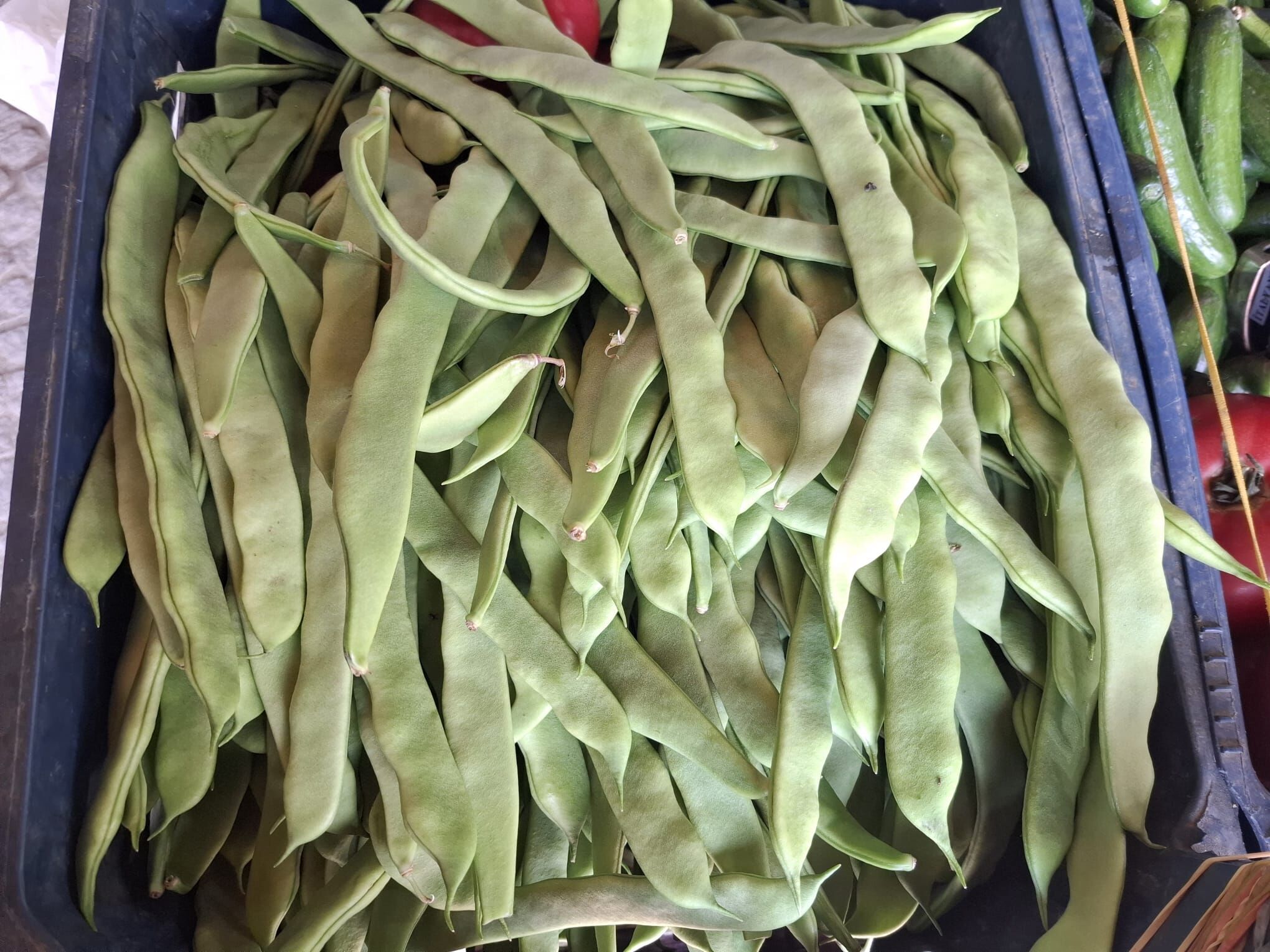 Whatsapp Image 2026 04 27 At 14.39.08